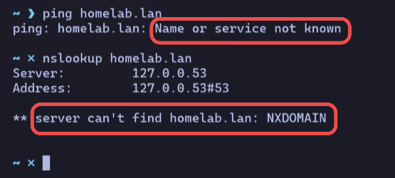 ping and nslookup fails