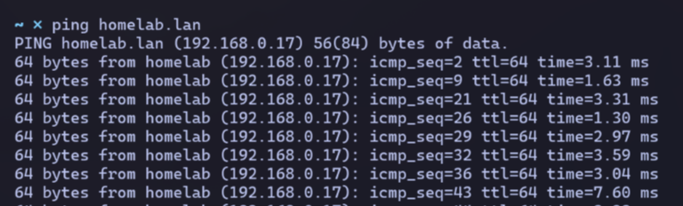 ping homelab.lan