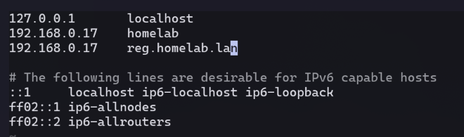 DNS subdomain edition