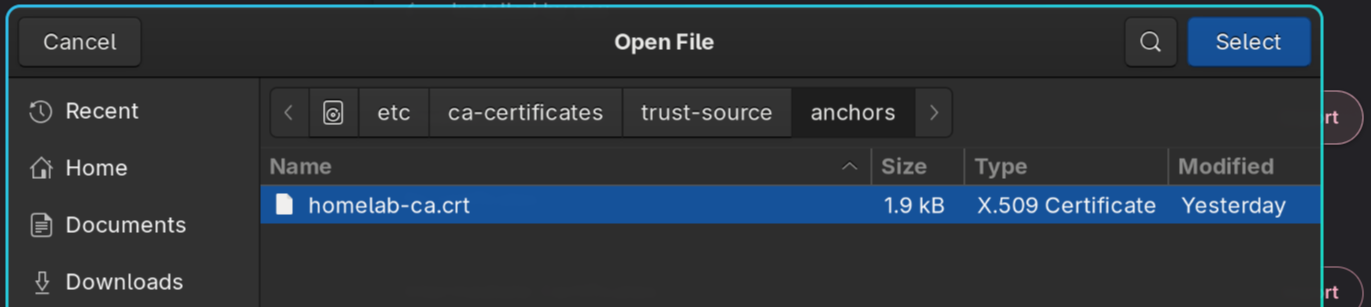 brave import CA cert
