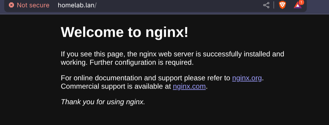nginx greeting